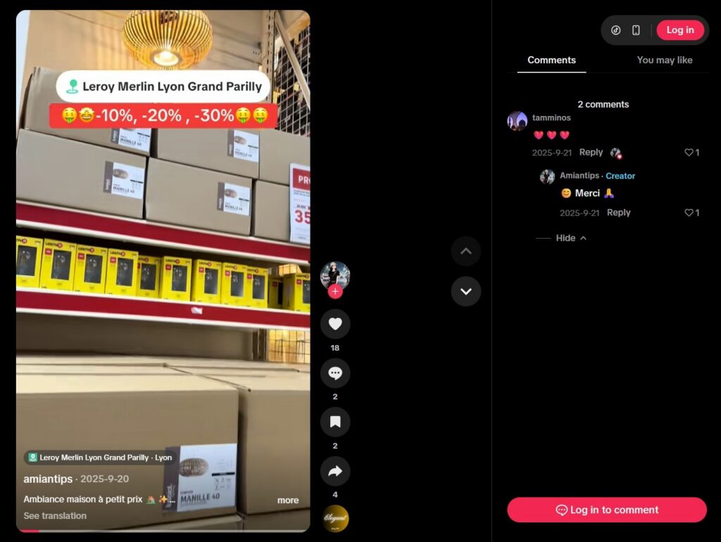 Leroy Merlin Lyon Grand Parilly Tiktok