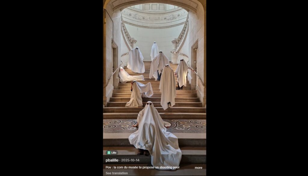 Palais Des Beaux Arts De Lille Tiktok