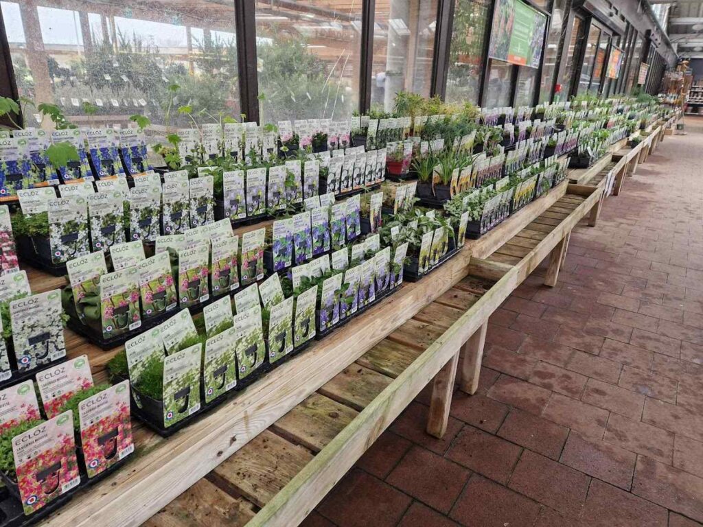 Jardiland Lieusaint's Small Plants