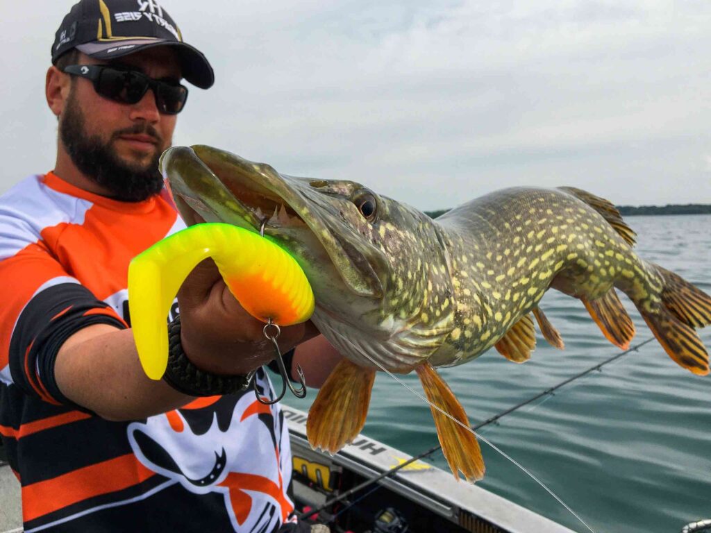 Les Espèces Populaires Autour De Paris; Brochet