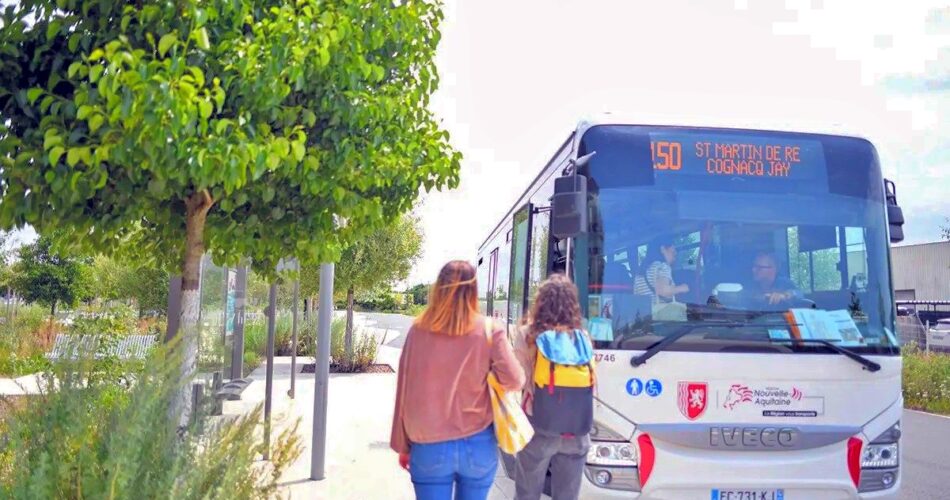 Bus 150 Cover